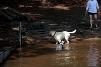 Pups in GA Swimming Day 2023
