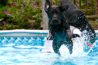 SSD Lovell and SSD Foxtrot Having Some Fun in the Pool