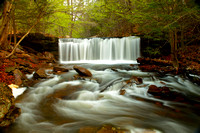 "Ricketts  Glen State Park" Pa. "Waterfalls" Spring 2015