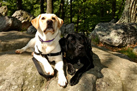 SSD Boomerang and SSD Harlem "Enjoying Their Vacation with Another Photo Shoot!"