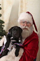 Susquehanna Service Dogs Holiday Party 2015