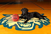 "SSD Eclipse" Dallastown Basketball Team Photos 2015 Susquehanna Service Dogs