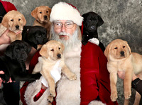 "Susquehanna Service Dogs" "Christmas Party 2014"
