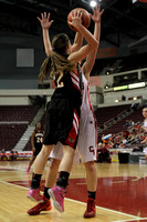 Dover vs Cumberland Valley Girls District III AAAA Playoff Basketball Game 02.25.2014