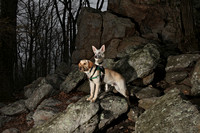 SSD Boomerang & Parker at Samuel S. Lewis State Park (East York Pa.) 2014
