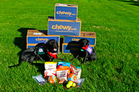 Chewy.com Thanks from SSD Lovell and SSD Foxtrot
