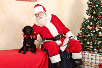 Susquehanna Service Dogs Holiday Party 2016