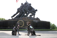 SSD Lovell and SSD Foxtrot Iwo Jima Memorial